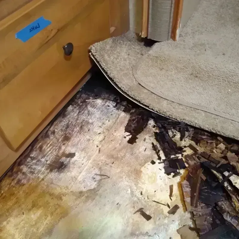 Wood Floor Water Damage in Woodbine, NJ